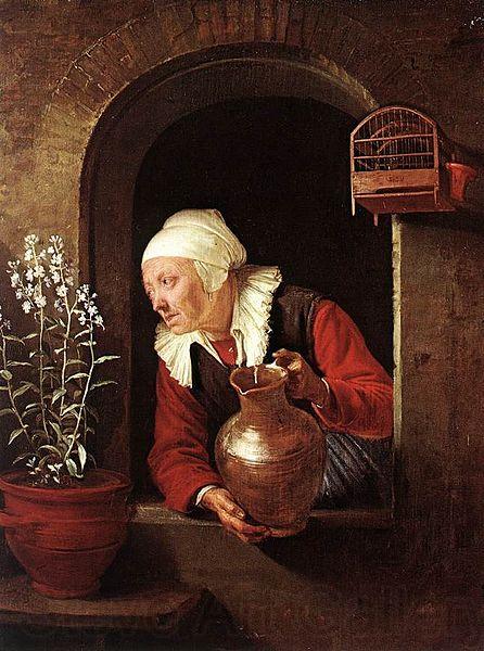 Gerard Dou Old Woman Watering Flowers Norge oil painting art